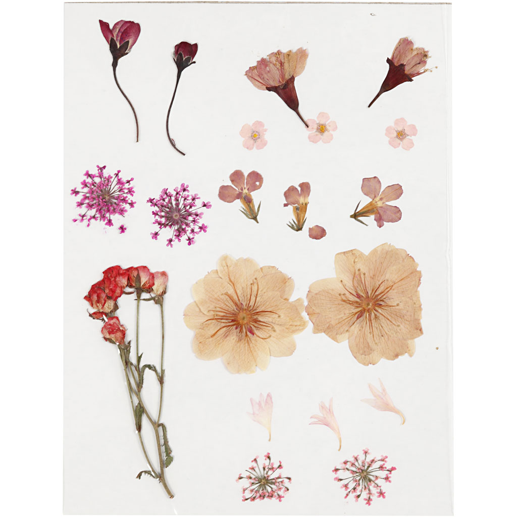 Tørrede Blomster Og Blade - Lys Rosa